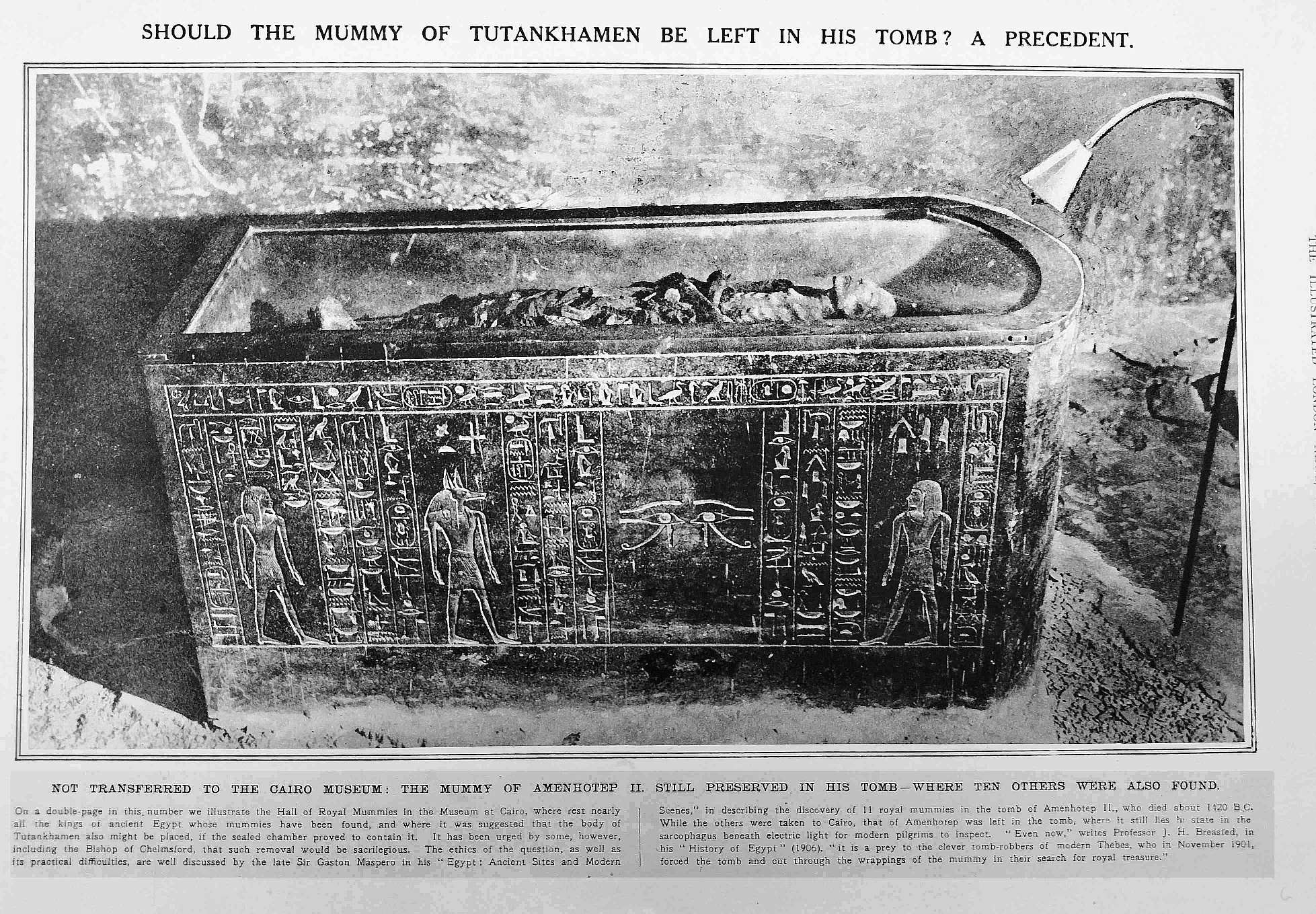 1923 tut